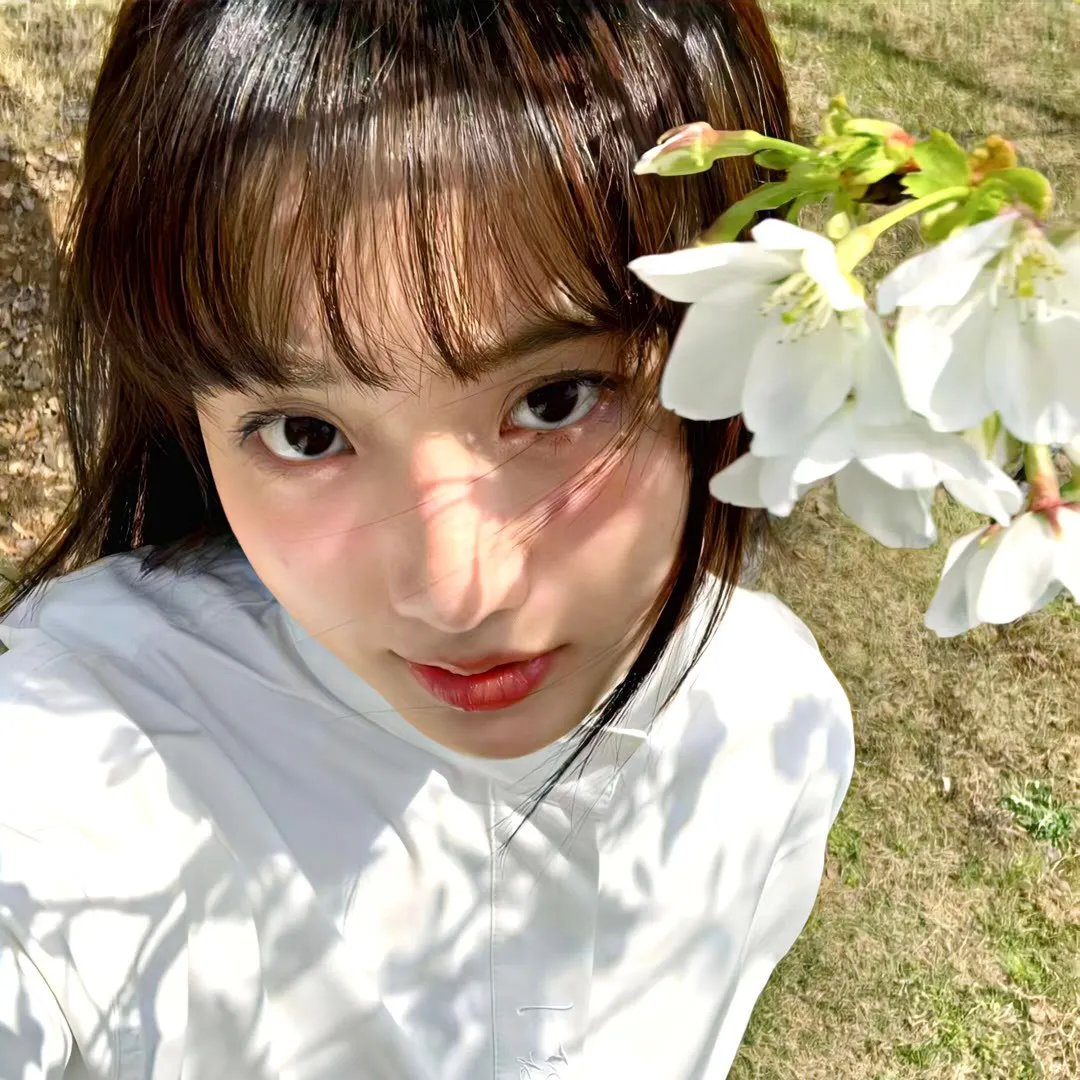 哪吒争夺聚宝盆粤语